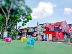 Little India Conservation Area (D8), Shop House #625738391